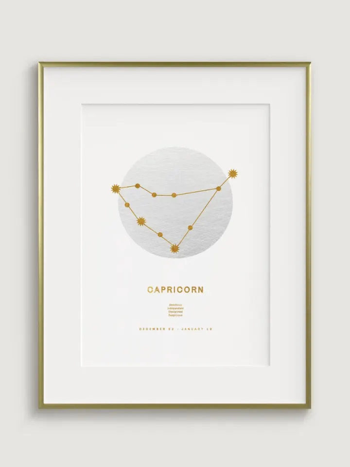 Zodiac Sign Capricorn