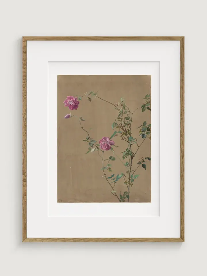 Pink Roses, Fidelia Bridges, 1875