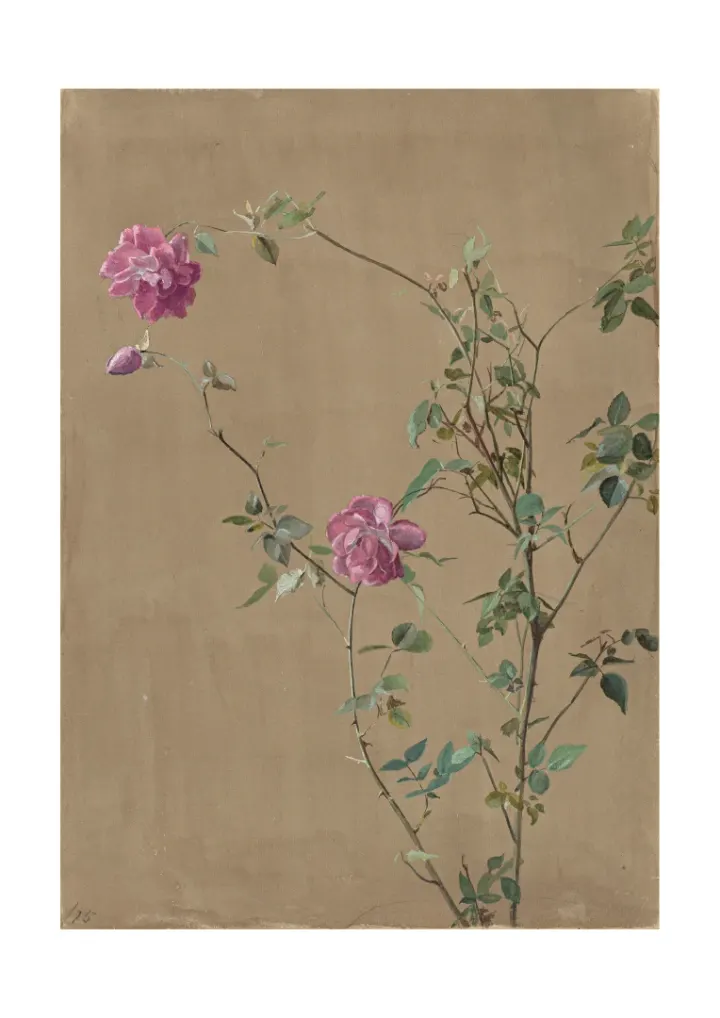 Pink Roses, Fidelia Bridges, 1875